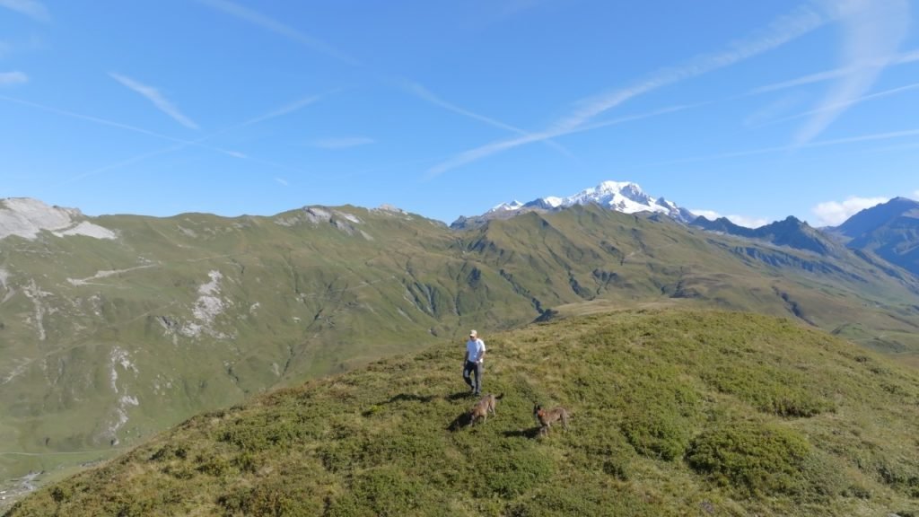 X Line Shadow Boxer and Skywalker Dutch Shepherd Family Protection Dogs in the Alps