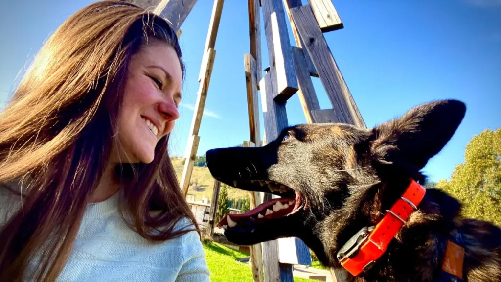Serious Black X Line Dutch Shepherd Family Protection Dog Socializing