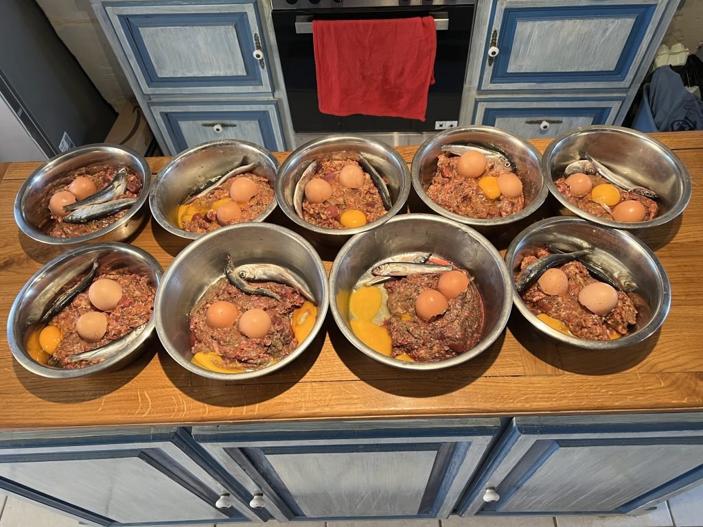 Alpinhaus Shepherds diet,nutrition,diet & nutrition,protection dog