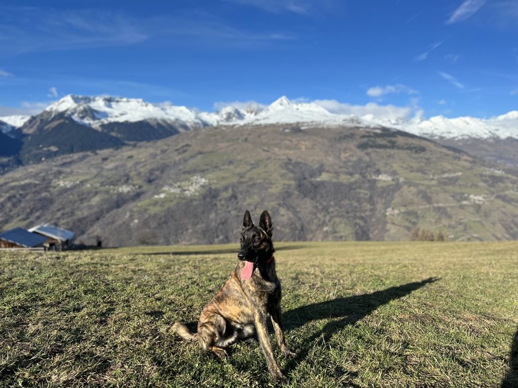 Skywalker Portrait Alps Email 3 Warm Sar
