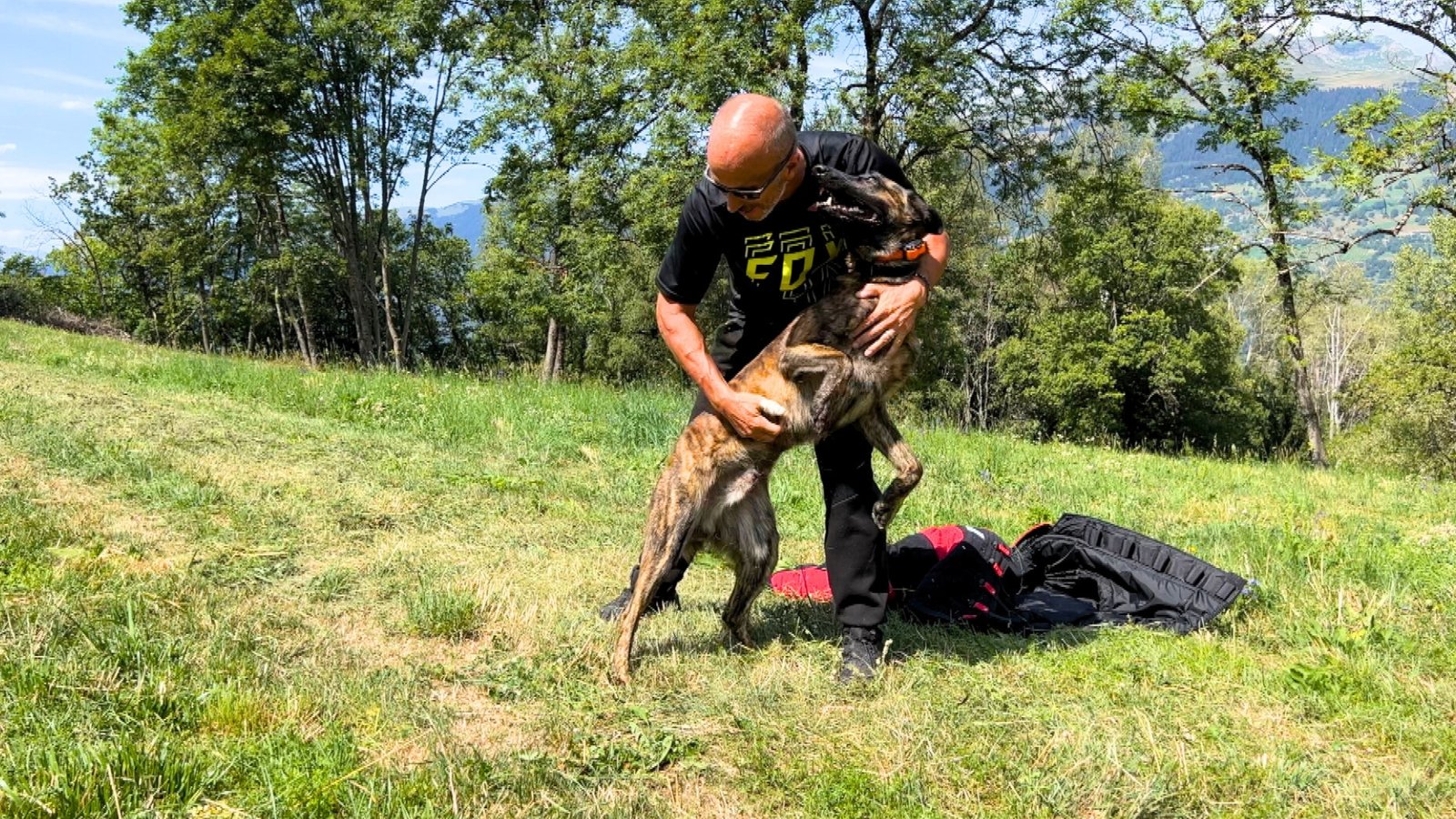 X Line Skywalker Dutch Shepherd Family Protection Dog