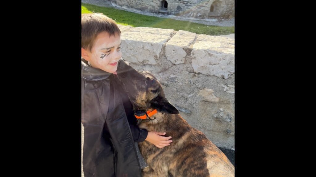 Alpinhaus Shepherds Socialization,alpinhaus