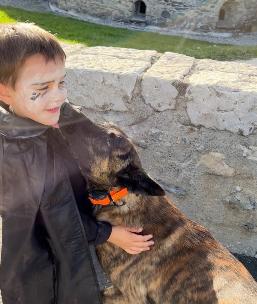 X Line Family Protection Dog Skywalker being Social with new Young Boy in Public