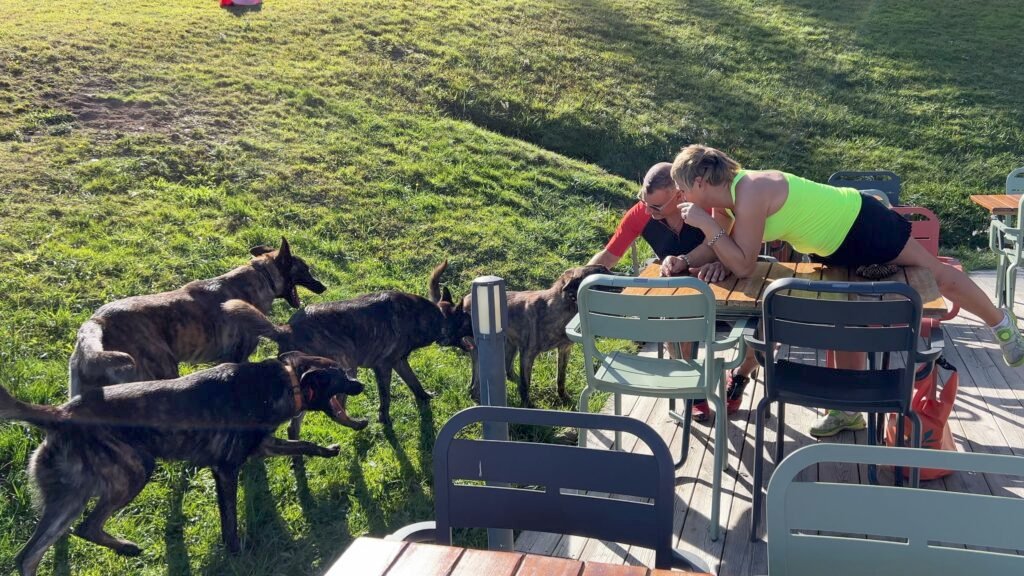 2 X Line Family Protection Teams being Social out at a public Restaurant