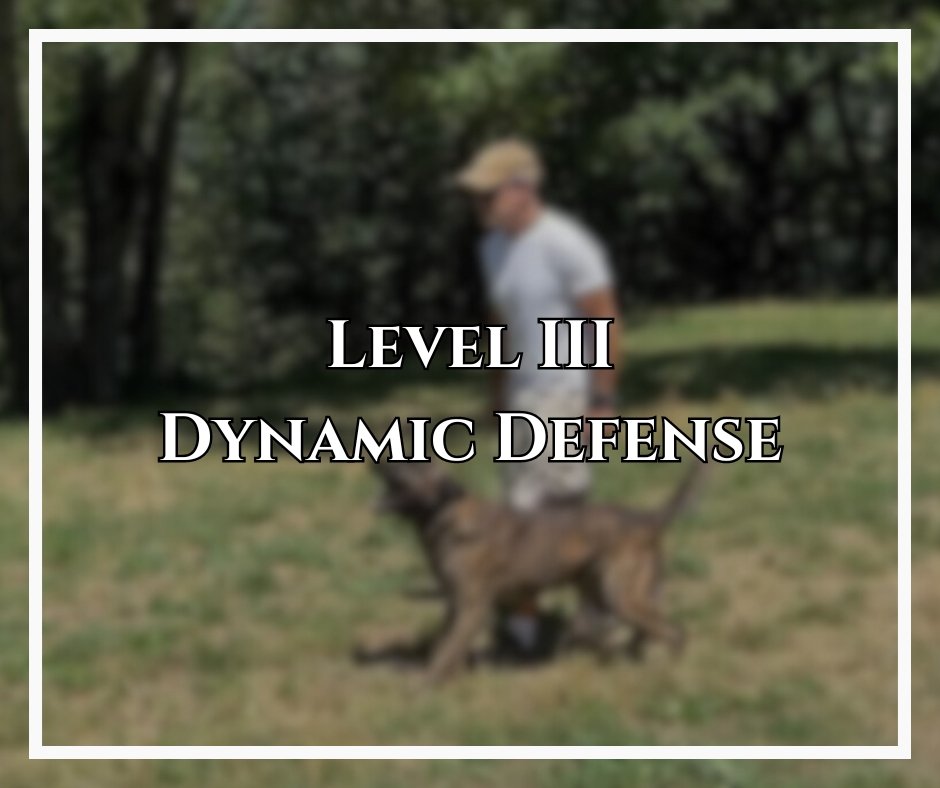 Alpinhaus Shepherds alpinhaus shepherds,level 3,dynamic defense