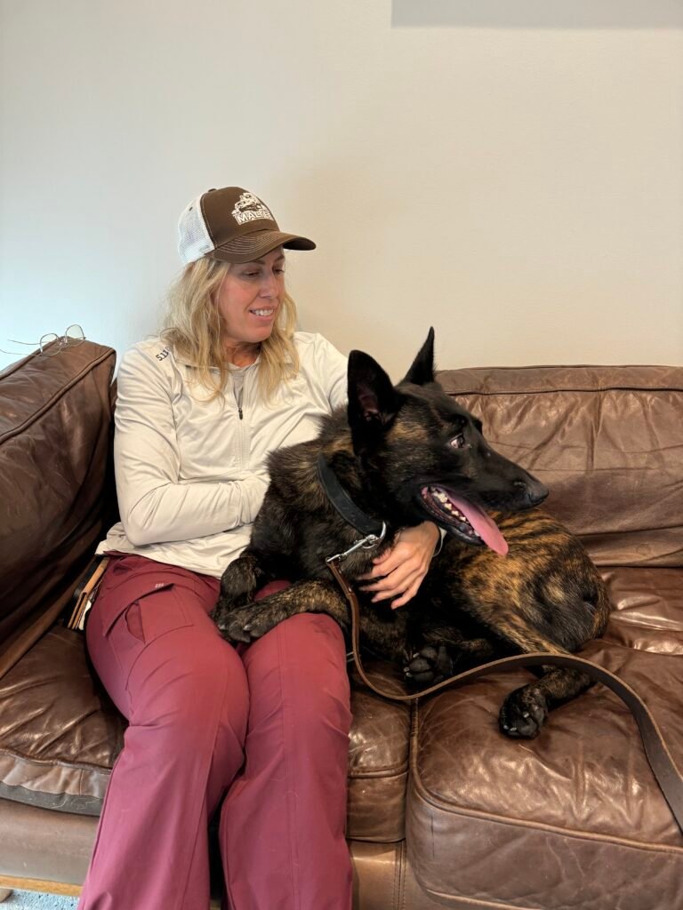 Alpinhaus Shepherds personal protection dog,protection dog,alpinhaus,personal protection dogs
