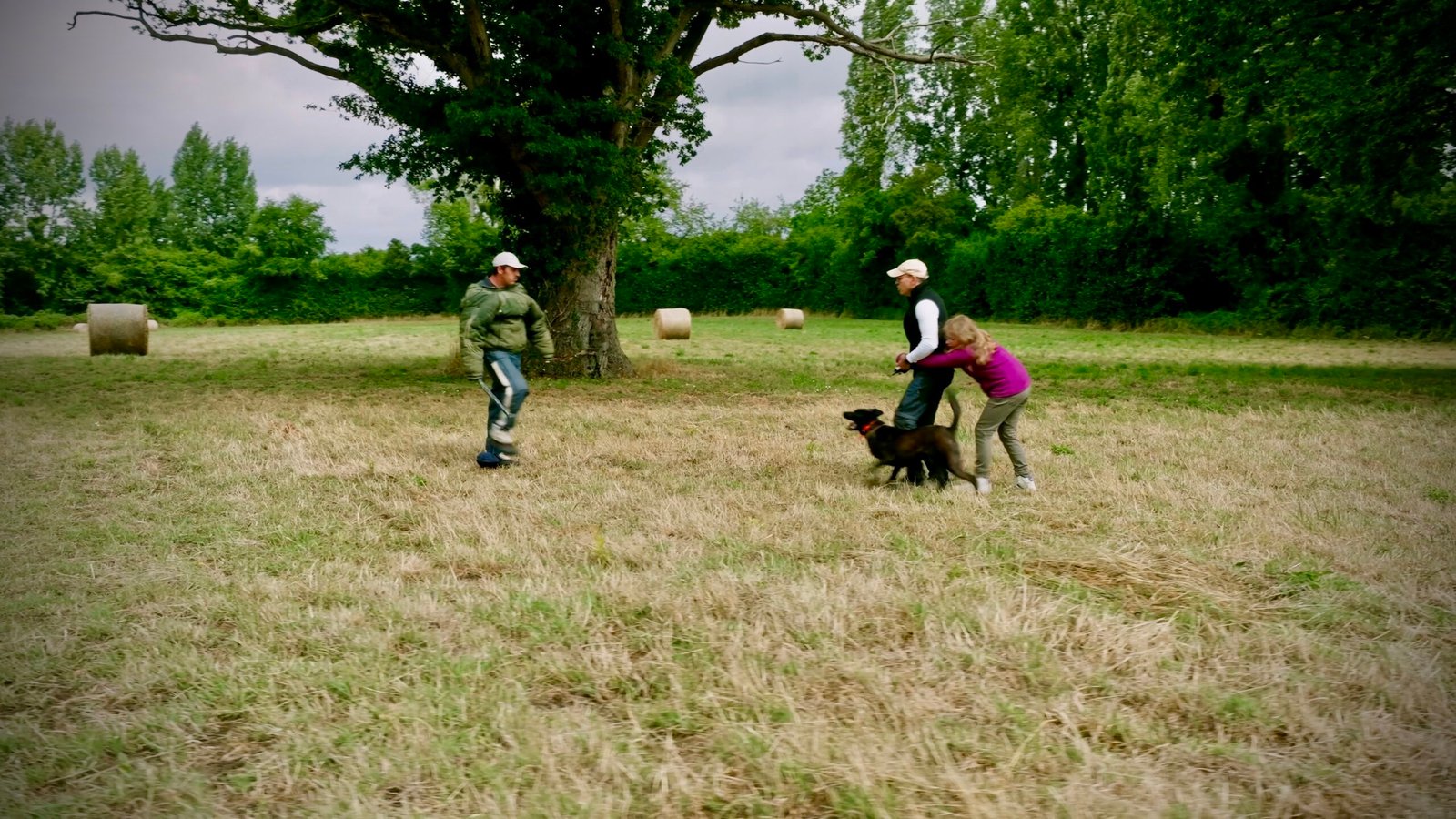 X Line Rebelle Family Protection Dog Defending 9 Year Old Girl