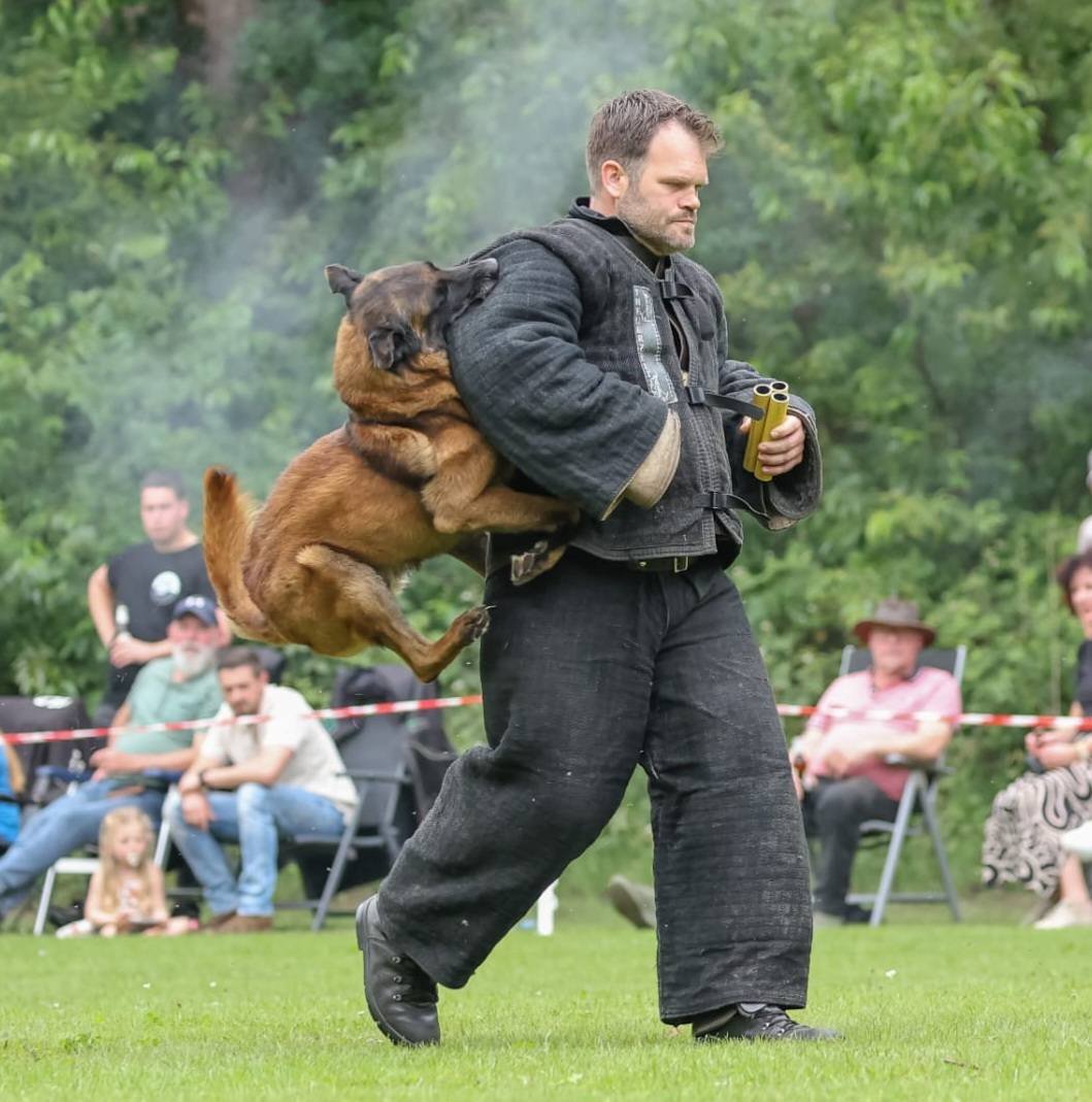 KNPV Training with Belgian Malinois Flying Attack